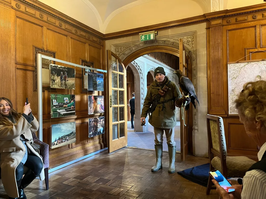 Indoor falconry display at Bovey Castle